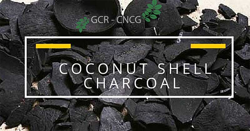 Giới thiệu công ty sản xuất than hoạt tính gáo dừa Global Carb