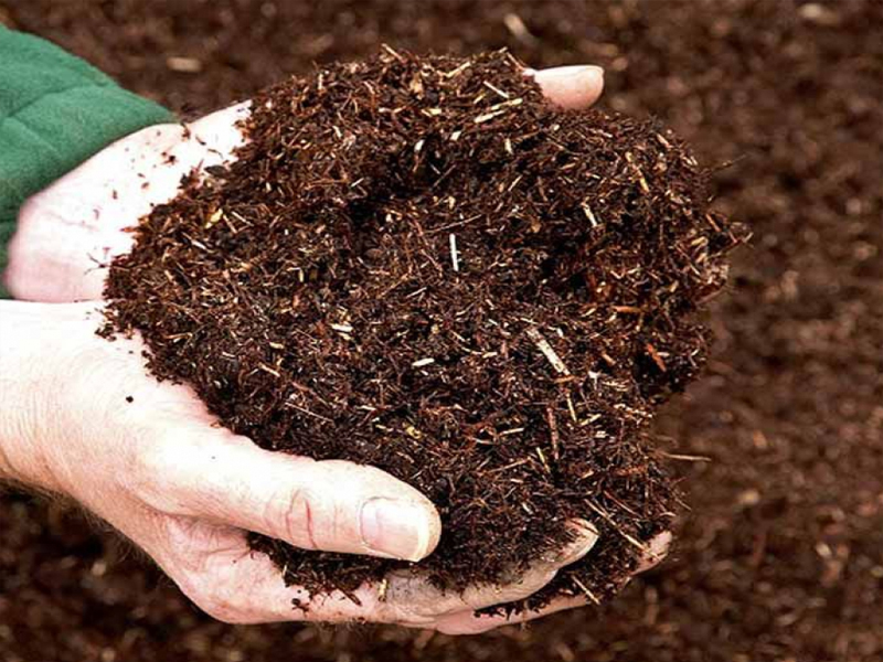 Đất Tribat Là Gì? Có Tốt Không? Giải Đáp Chi Tiết Từ A-Z