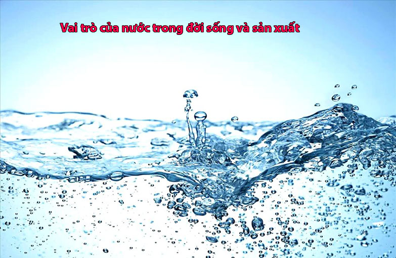 vai trò của nước trong đời sống và sản xuất