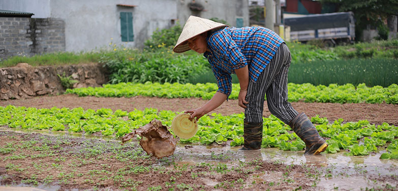 vai trò của nước trong đời sống và sản xuất -1