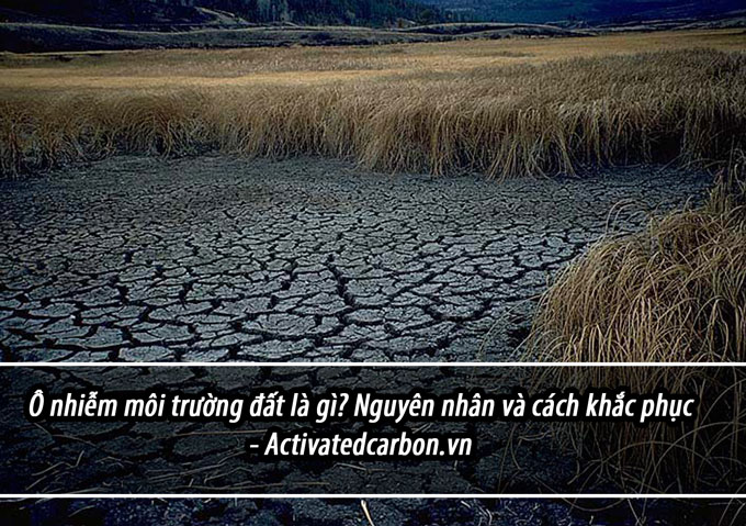 Ô nhiễm môi trường đất là gì? Nguyên nhân và cách khắc phục
