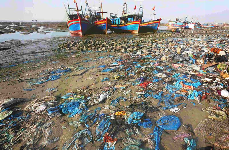 thực trạng ô nhiễm môi trường biển việt nam