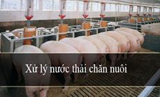 Phương pháp xử lý nước thải chăn nuôi
