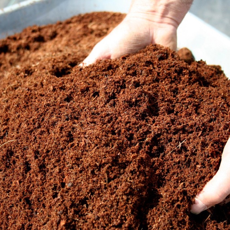 Đất sạch, Đất trồng rau giàu dinh dưỡng