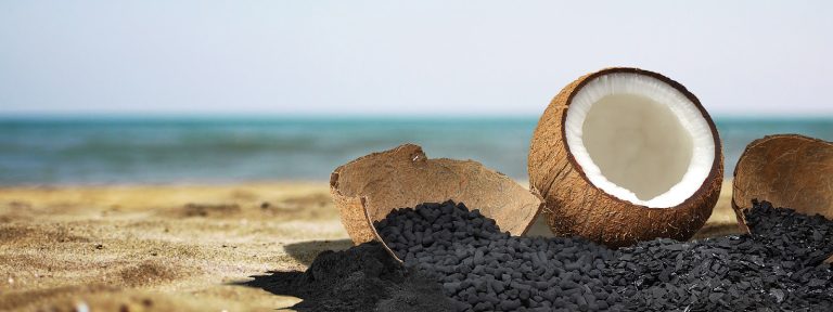 Than gáo dừa Global Carb: Nhà máy sản xuất tại Việt Nam