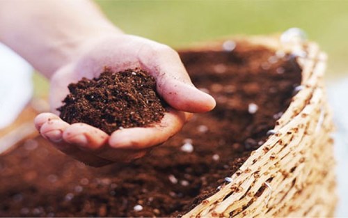 Công dụng của báo giá đất hữu cơ
