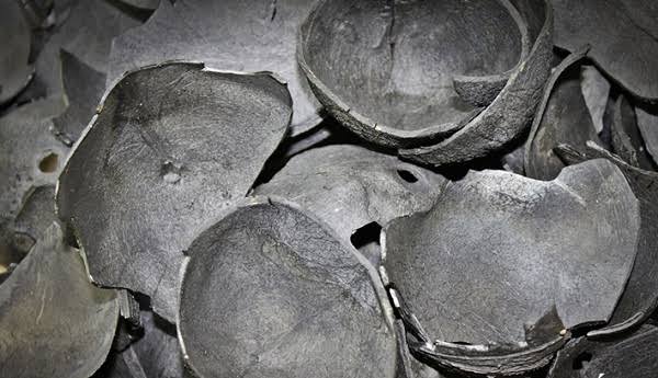 Than hoạt tính gáo dừa iodine 700 dùng xử lý khí Than hoạt tính gáo dừa iodine 700 dùng xử lý khí