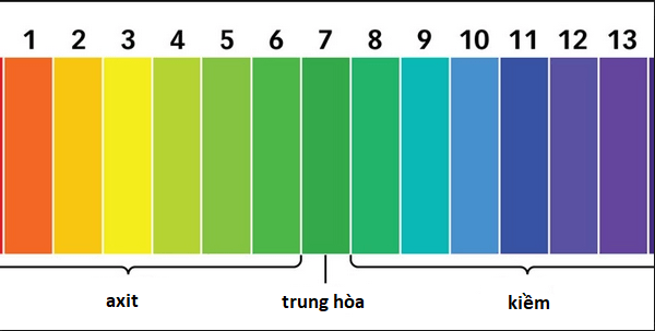 Thang pH là gì