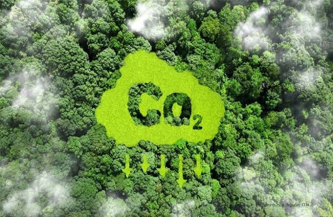 Tín Chỉ Carbon Là Gì? Cách Hoạt Động Và Lợi Ích