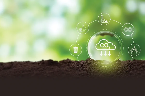 Tín chỉ carbon trong thị trường phát thải