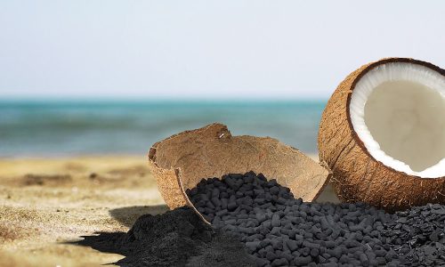 Than gáo dừa Global Carb Bến Tre