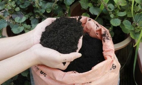 Đất Tribat ứng dụng và cách dùng