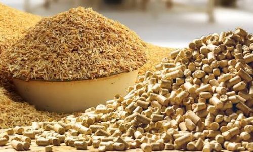 Hiểu đúng trấu là gì