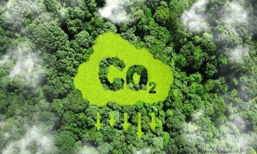 Tín chỉ carbon giúp bù đắp phát thải